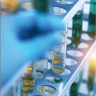 Custom DNA Oligo Synthesis